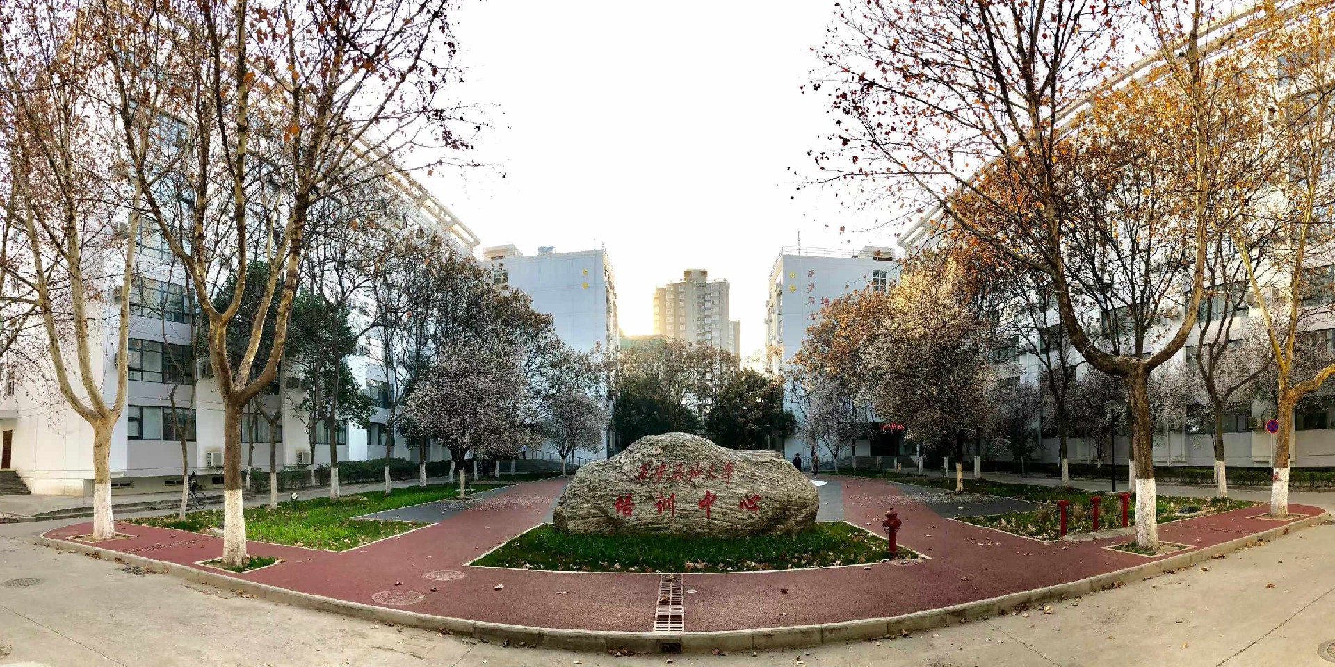 微信图片_2026-03-11_113039_227.jpg