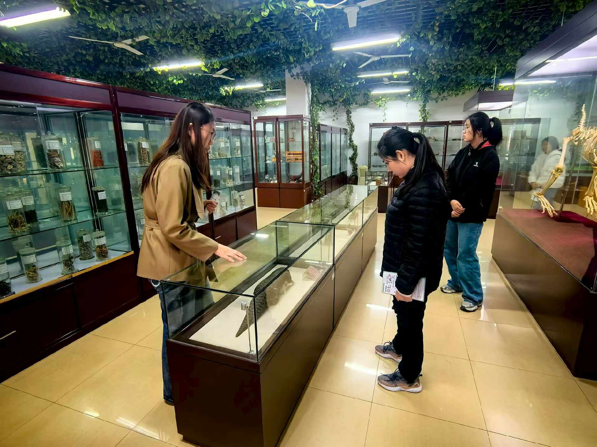 微信图片_2026-03-27_100354_454.jpg